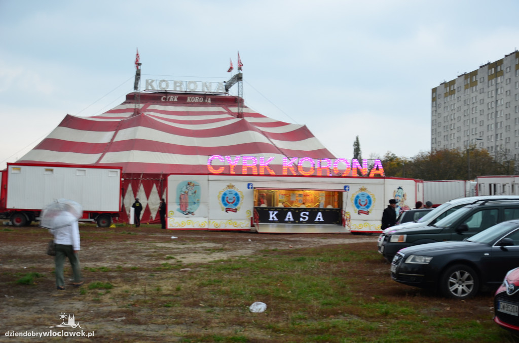 Protest przed pokazem cyrkowym
