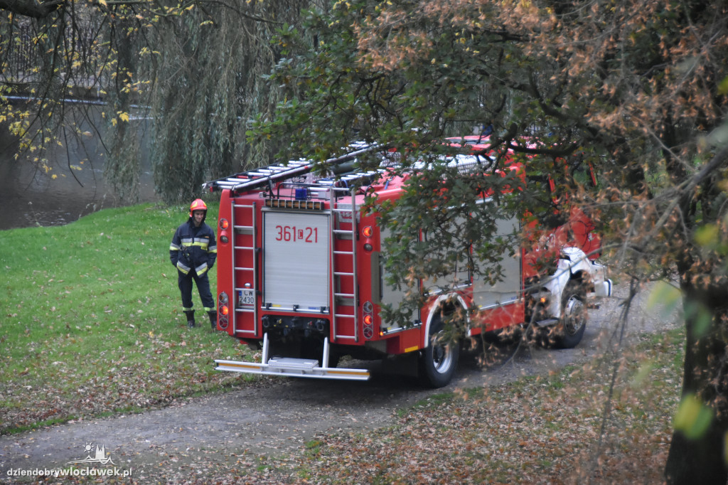 Potencjalnego samobójcy szukały służby