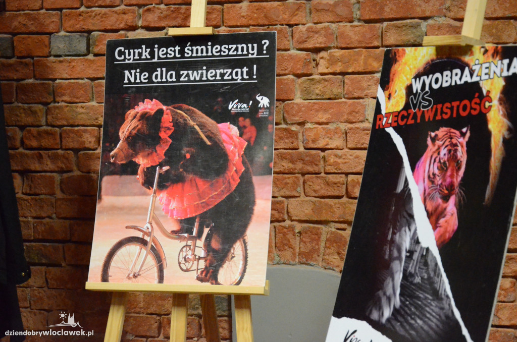 Rozmawiali o cyrku bez zwierząt
