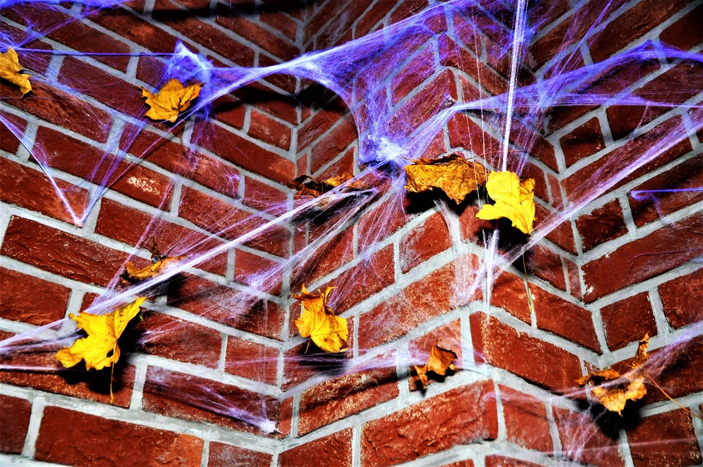 Upiorne Halloween w Browarze Loft