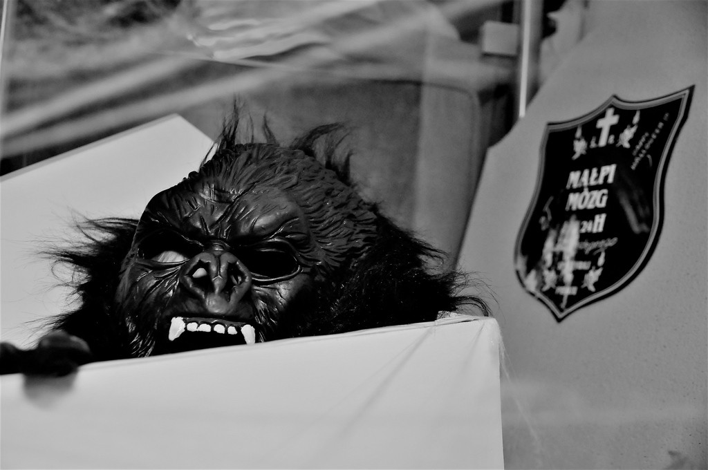 Upiorne Halloween w Browarze Loft