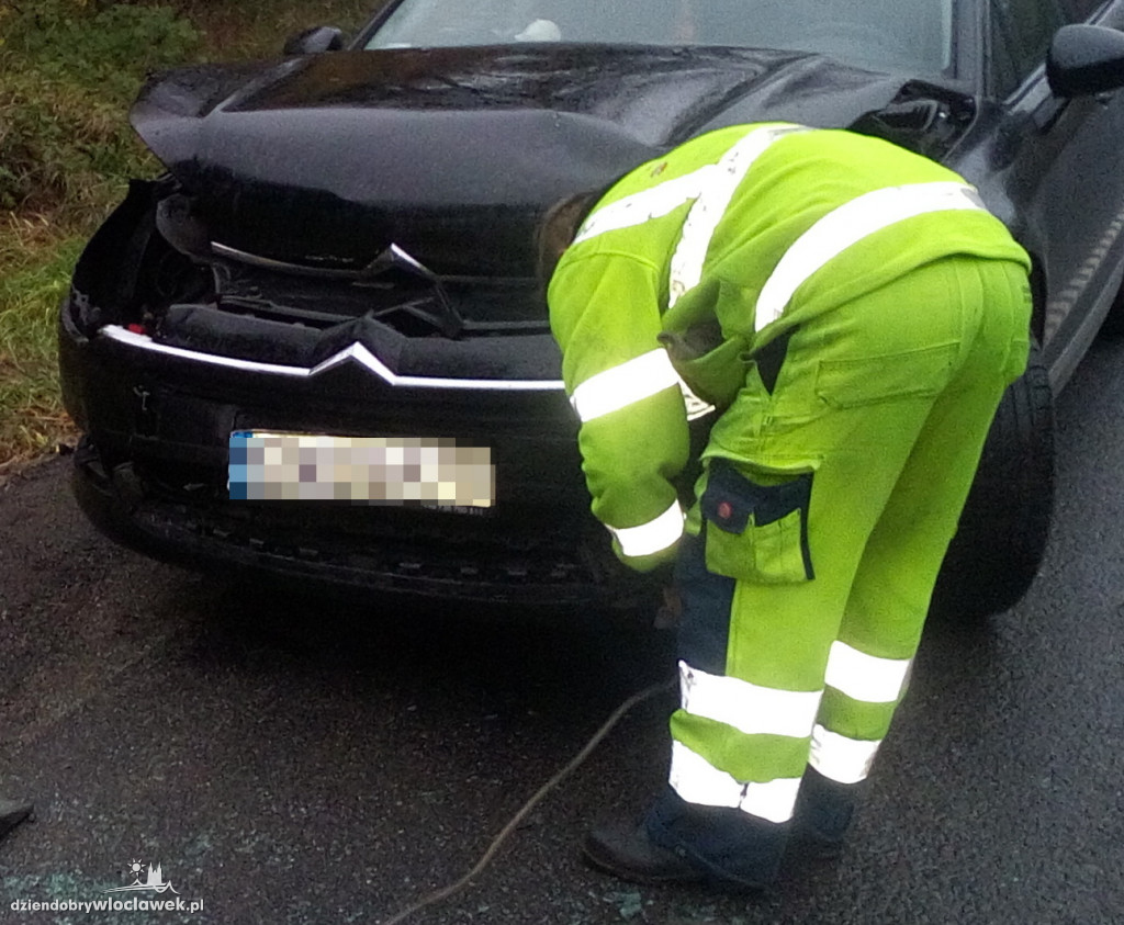 Kolizja 3 aut na drodze krajowej nr 91