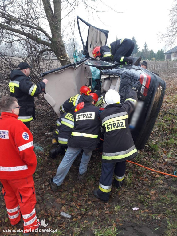 BMW uderzyło w drzewo