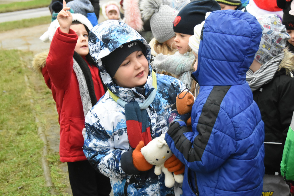Na Południu ubrali osiedlową choinkę