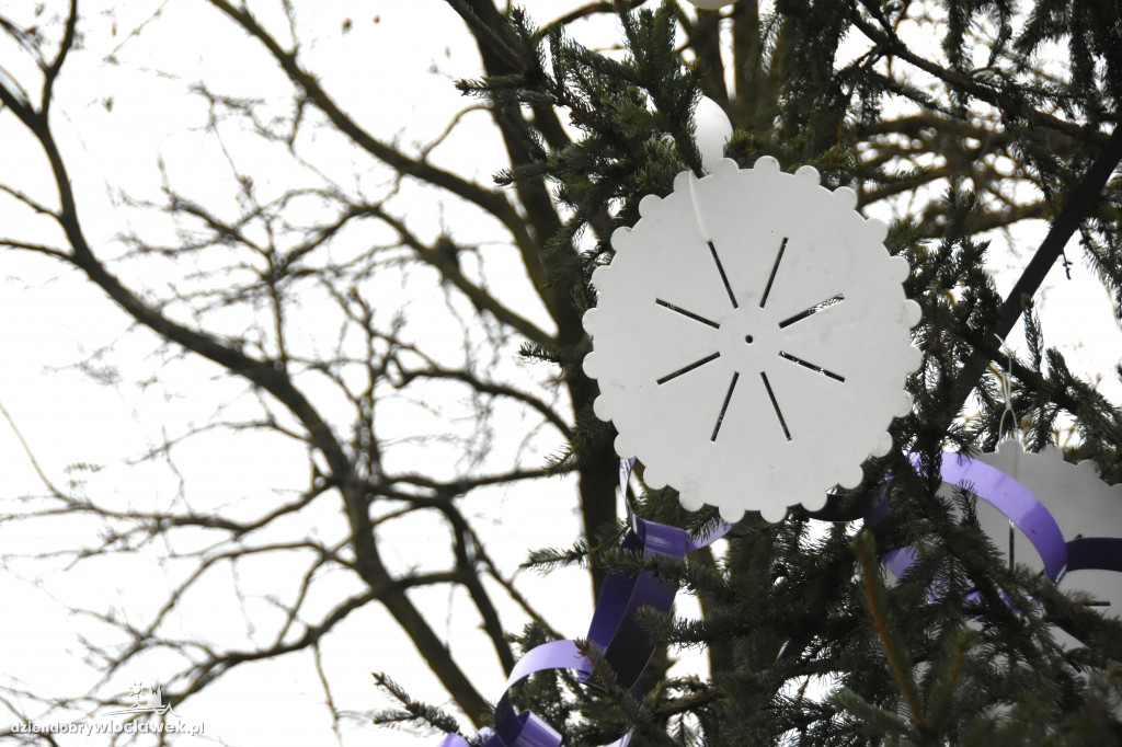 Na Południu ubrali osiedlową choinkę