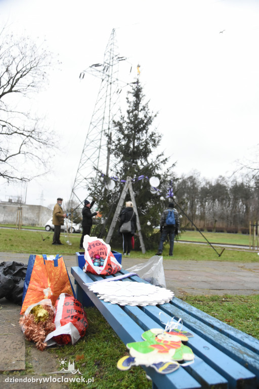 Na Południu ubrali osiedlową choinkę