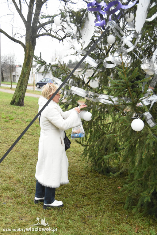 Na Południu ubrali osiedlową choinkę