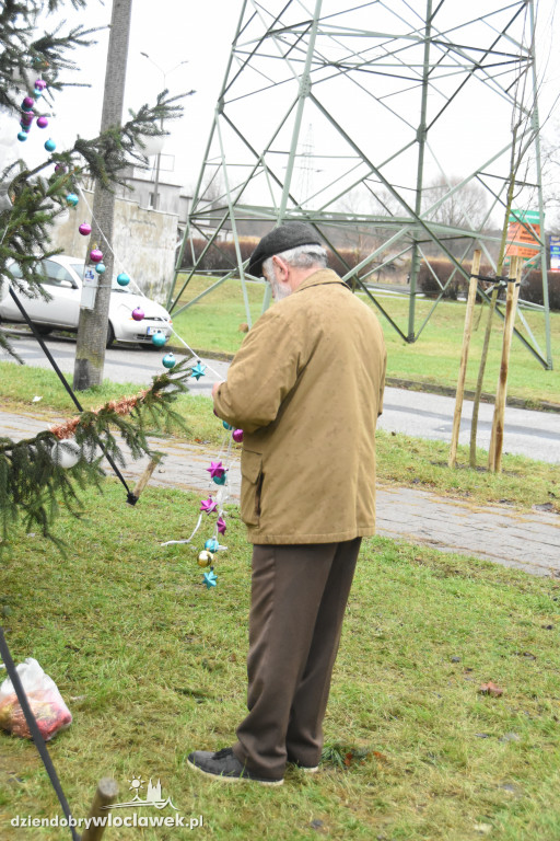 Na Południu ubrali osiedlową choinkę