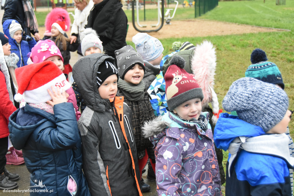 Na Południu ubrali osiedlową choinkę