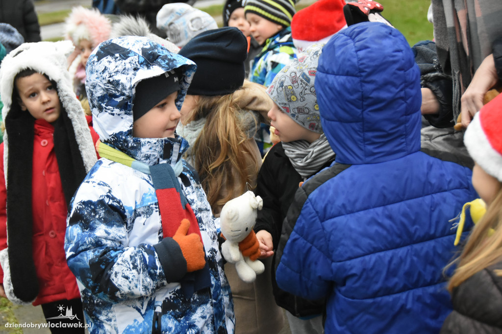 Na Południu ubrali osiedlową choinkę