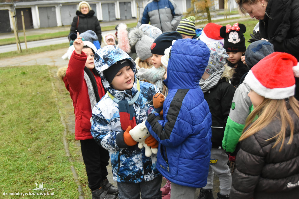 Na Południu ubrali osiedlową choinkę