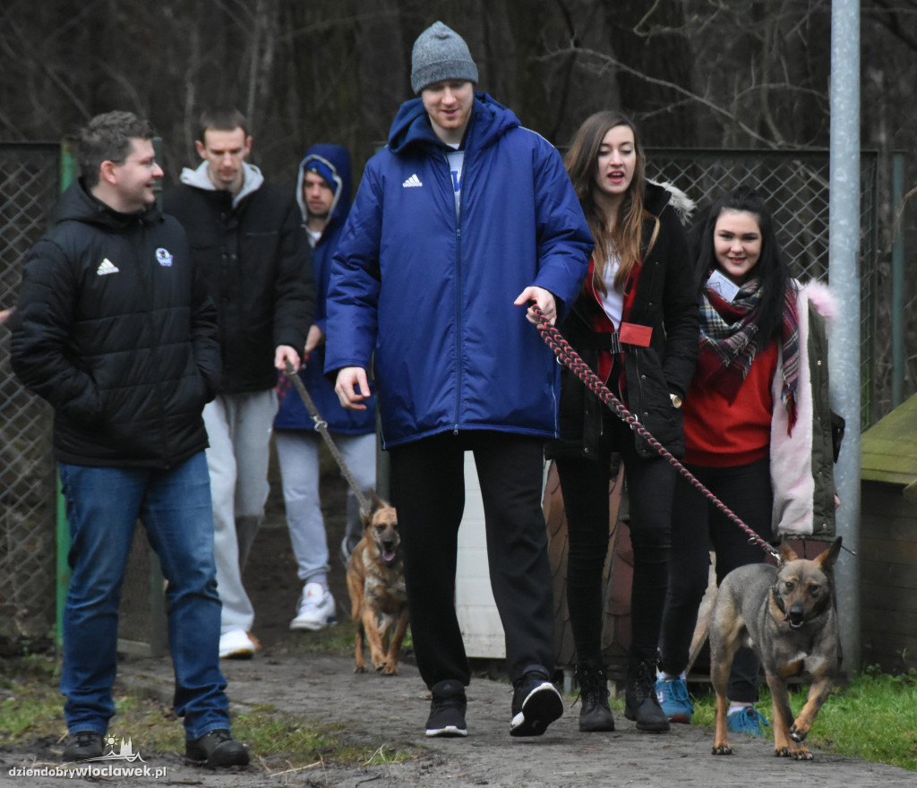 Anwil przekazał karmę dla schroniska