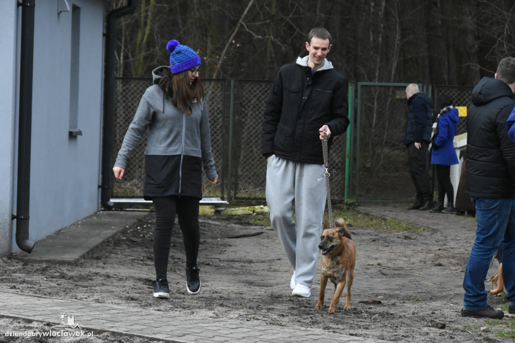 Anwil przekazał karmę dla schroniska