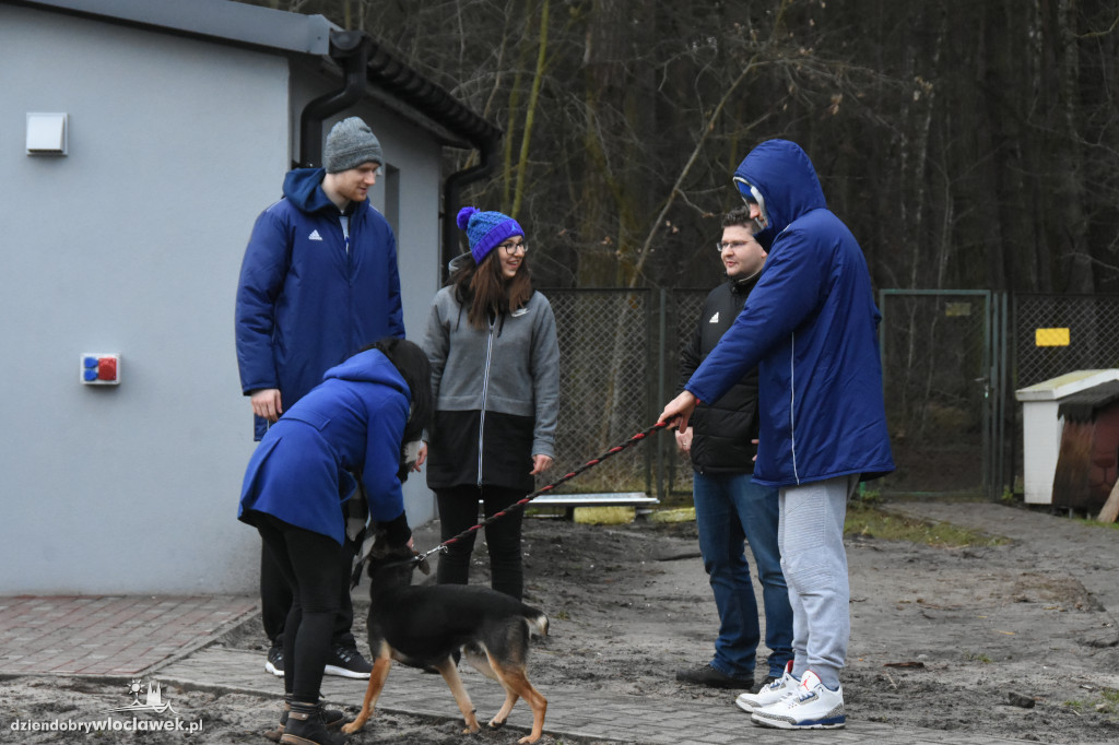 Anwil przekazał karmę dla schroniska