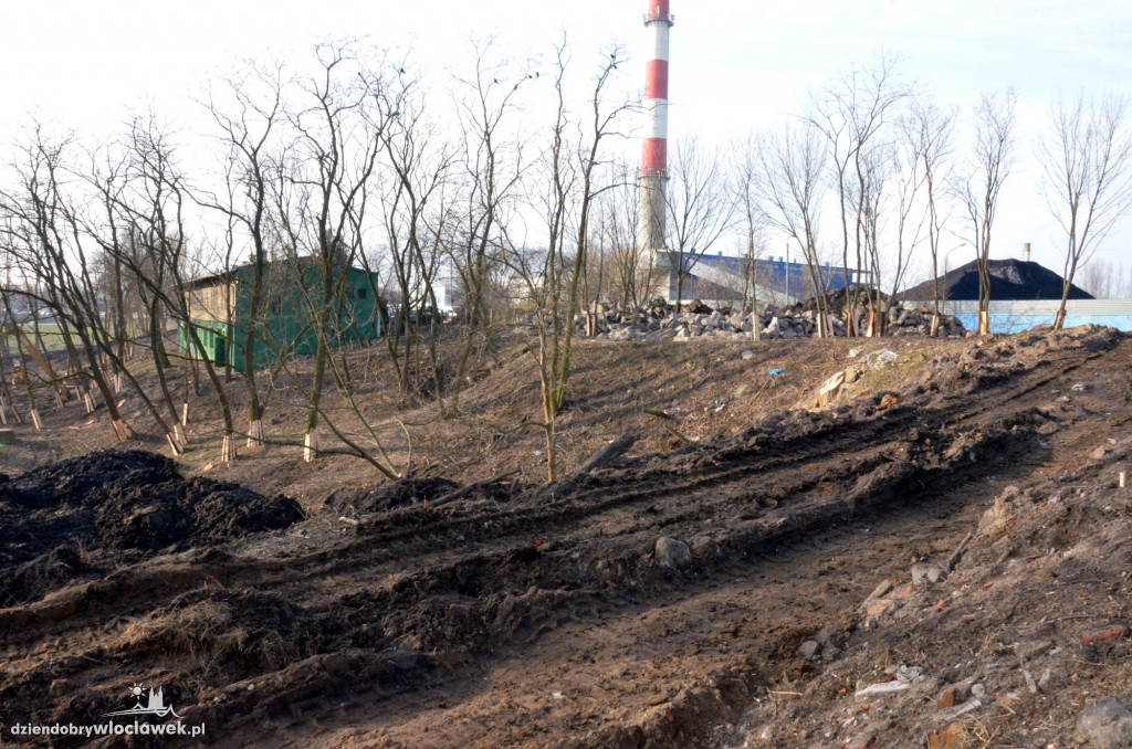 Prace w parku na Słodowie