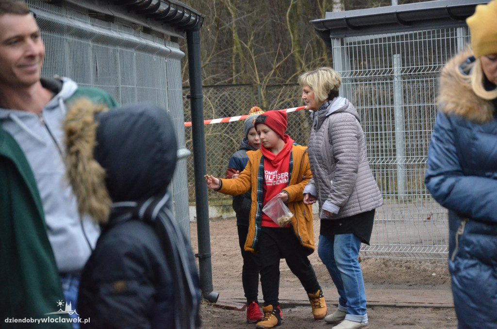 Walentynkowy Bieg na 6 Łap w schronisku