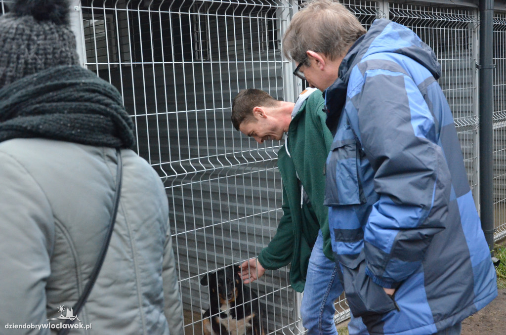 Walentynkowy Bieg na 6 Łap w schronisku