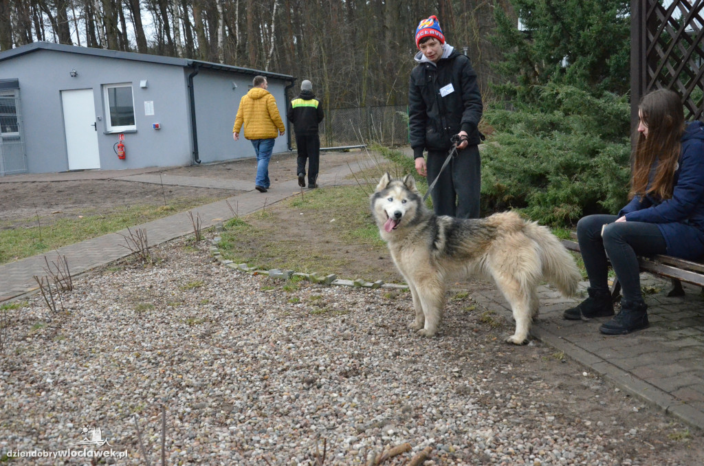 Walentynkowy Bieg na 6 Łap w schronisku