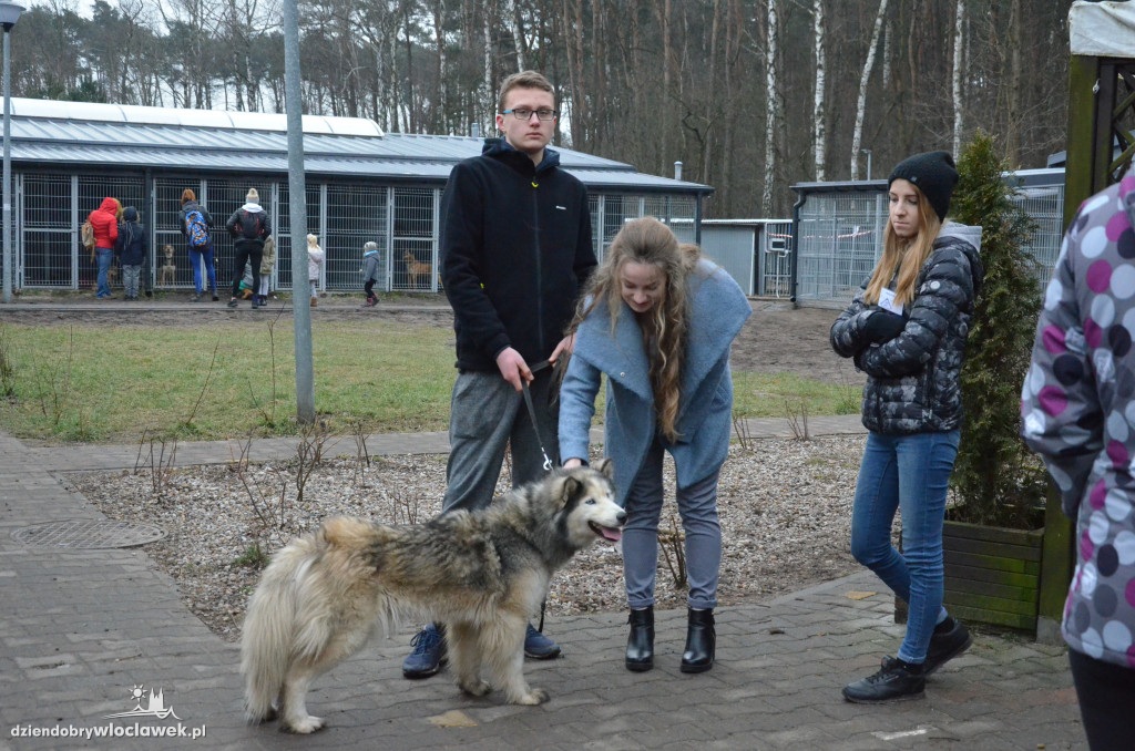 Walentynkowy Bieg na 6 Łap w schronisku