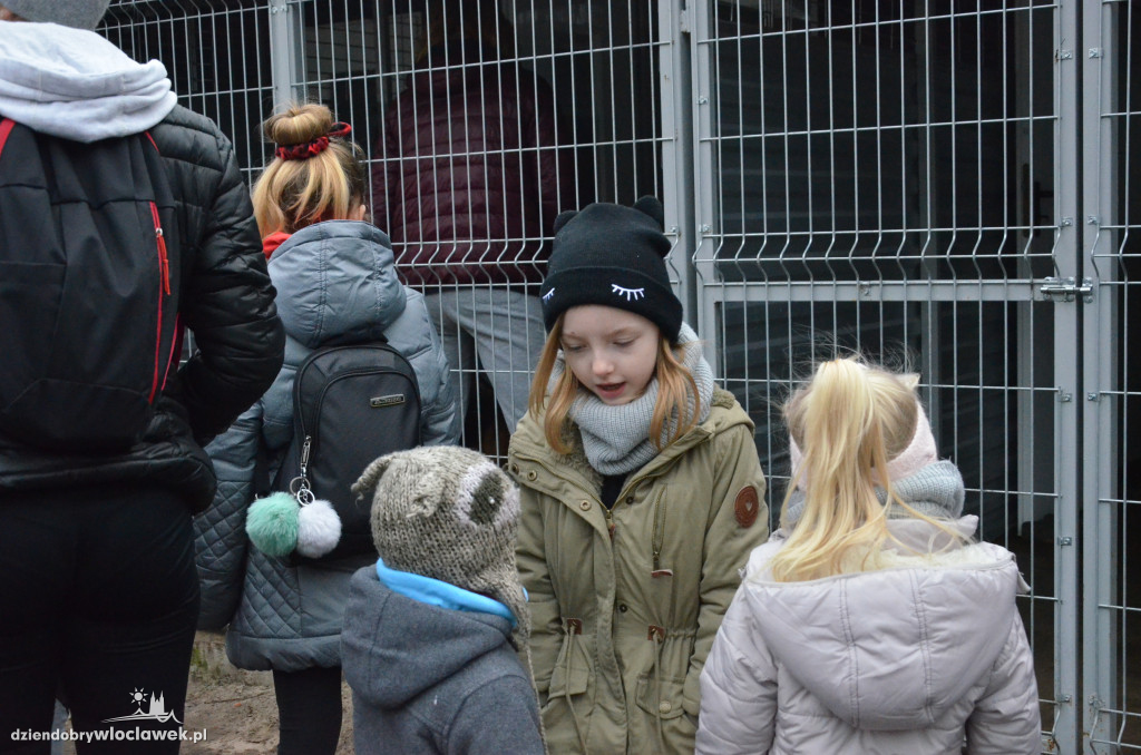 Walentynkowy Bieg na 6 Łap w schronisku