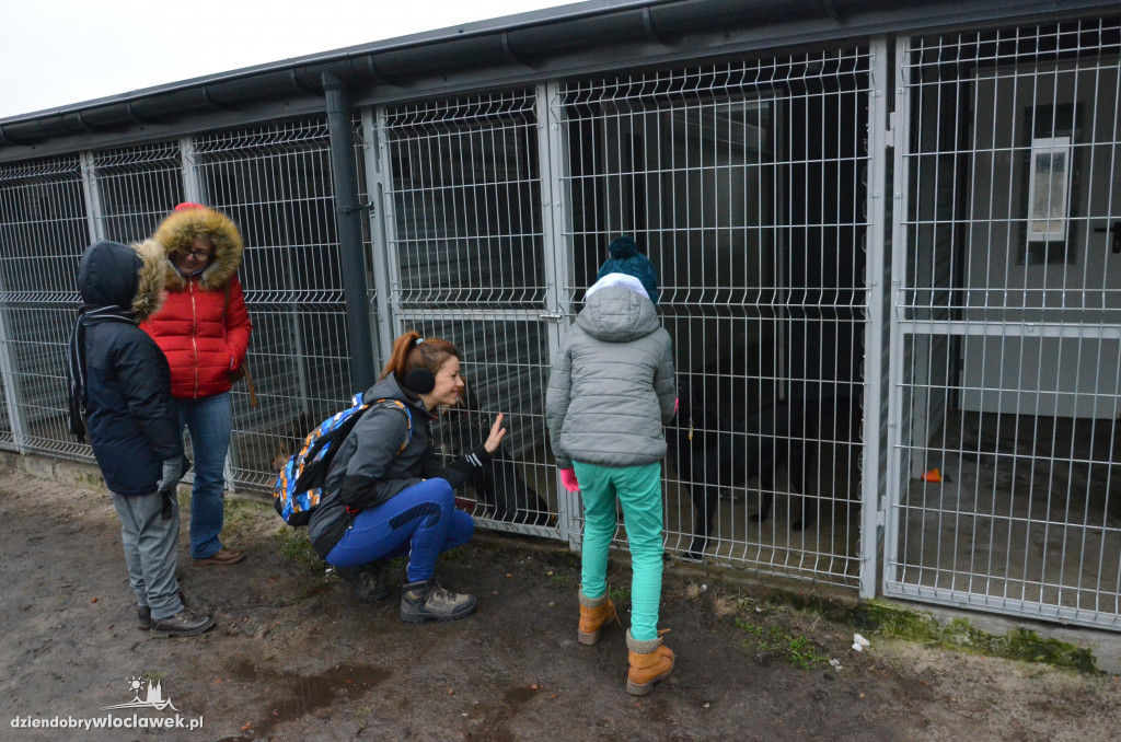 Walentynkowy Bieg na 6 Łap w schronisku