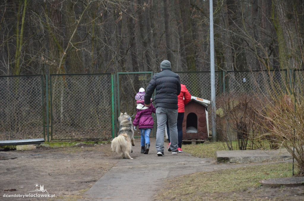 Walentynkowy Bieg na 6 Łap w schronisku