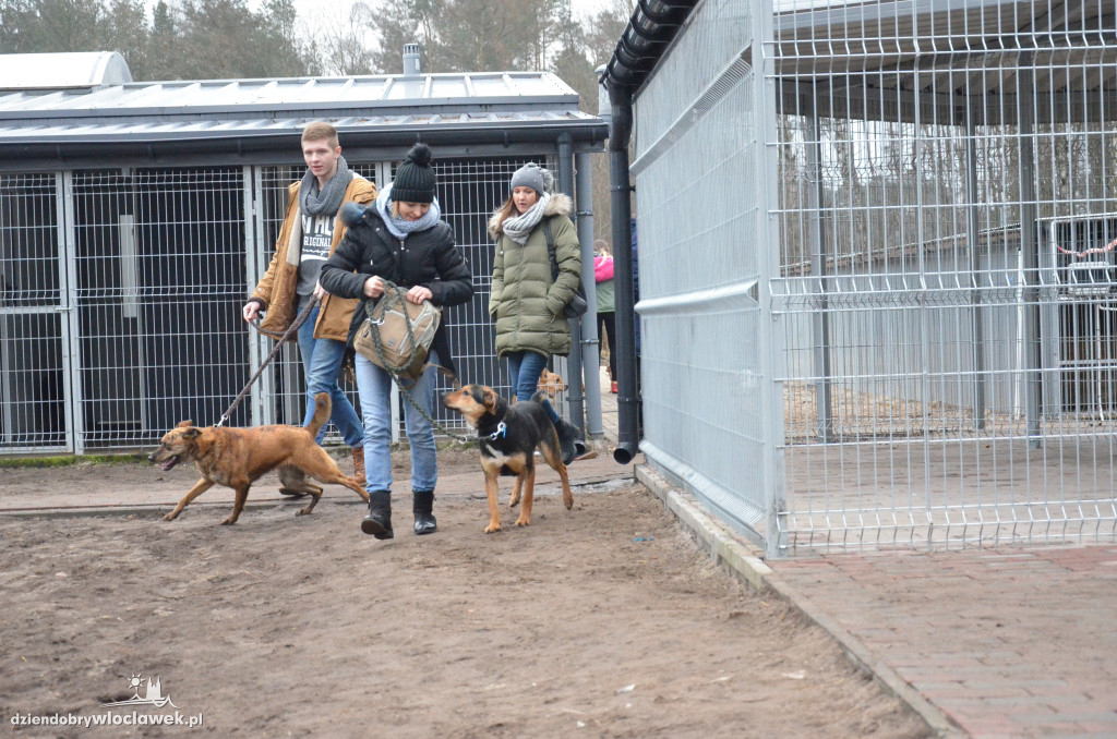 Walentynkowy Bieg na 6 Łap w schronisku