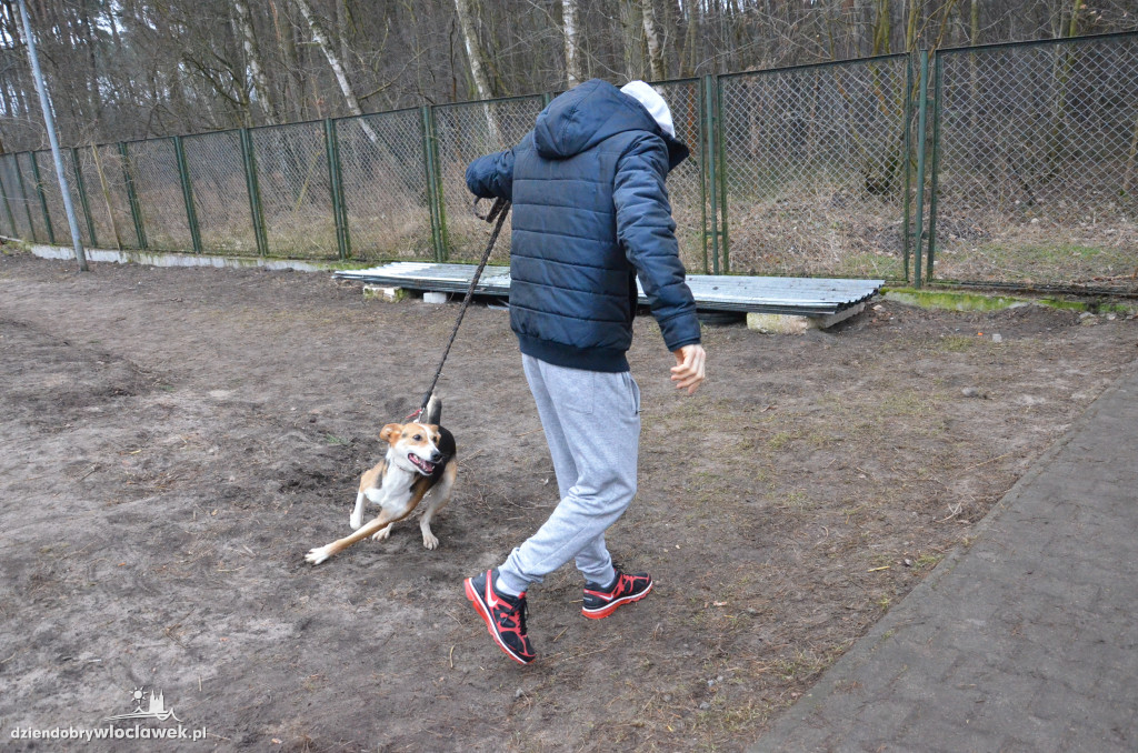 Walentynkowy Bieg na 6 Łap w schronisku