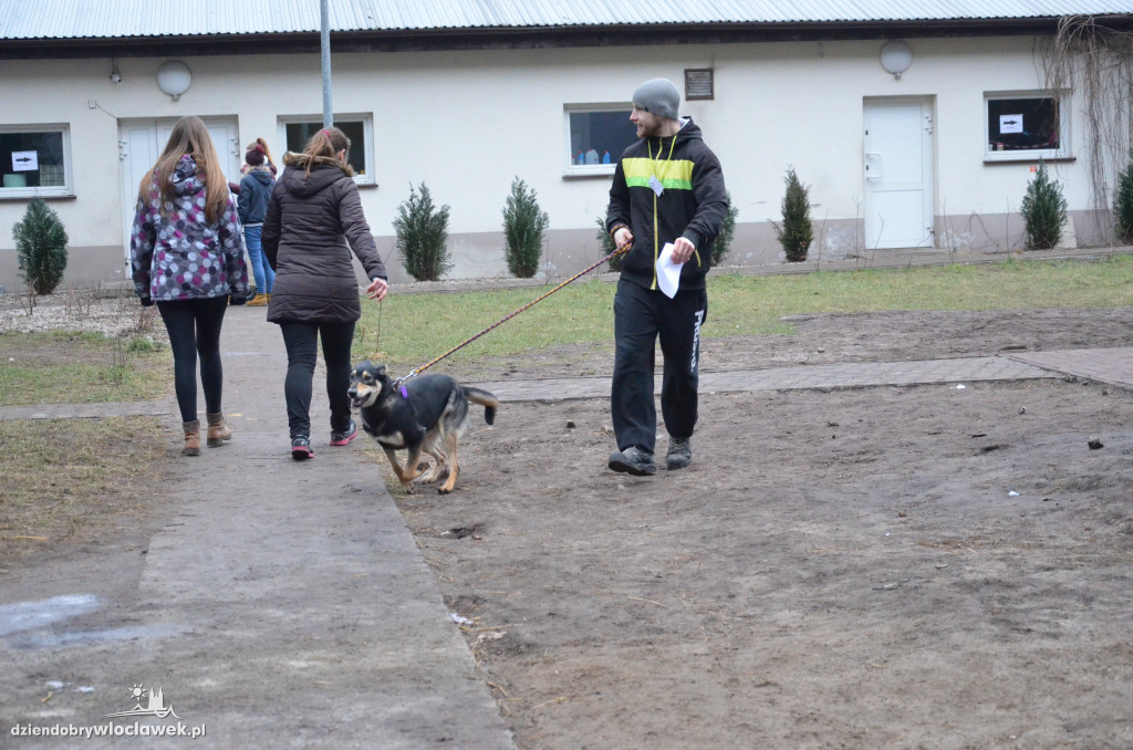 Walentynkowy Bieg na 6 Łap w schronisku