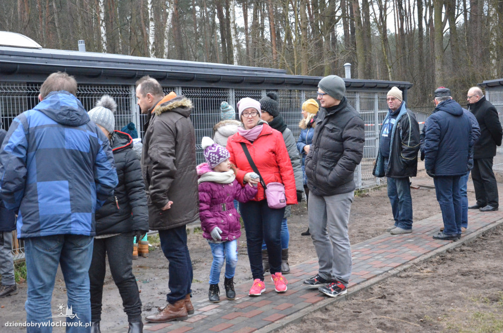 Walentynkowy Bieg na 6 Łap w schronisku