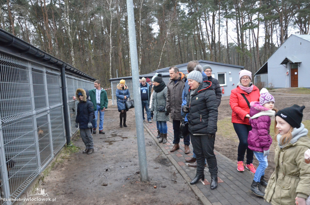 Walentynkowy Bieg na 6 Łap w schronisku