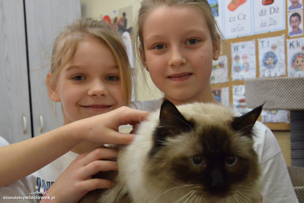 'Piątka kuźnią telentów' w SP nr 5