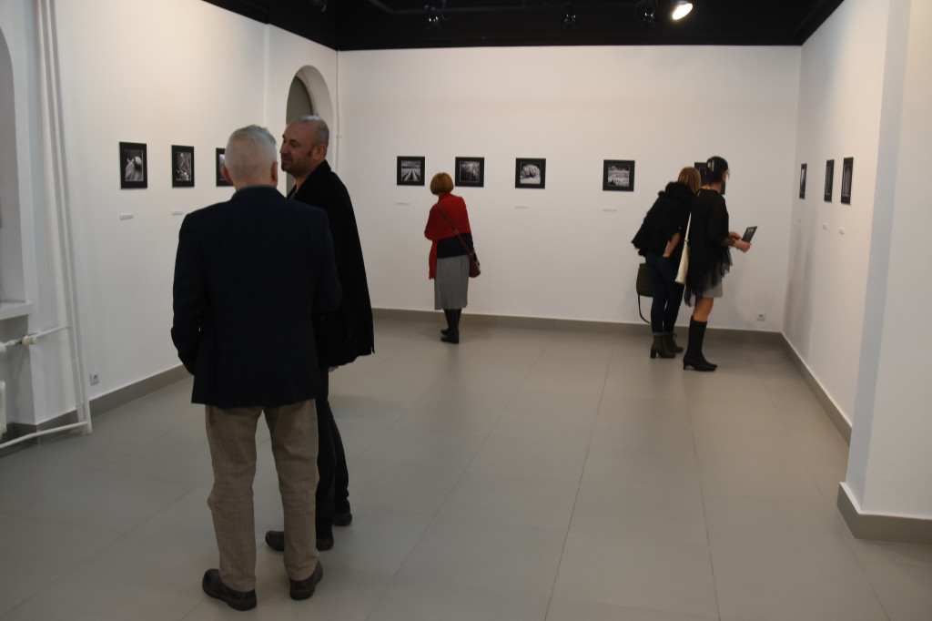 Wystawa fotografii w GSW