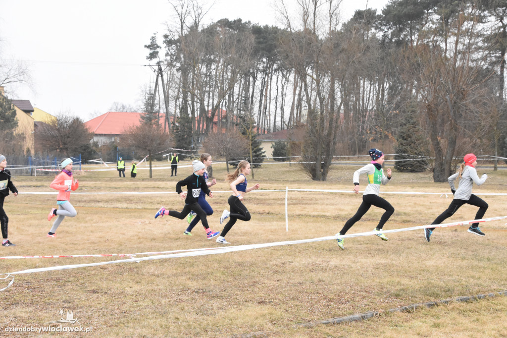 Mistrzostwa w biegach przełajowych