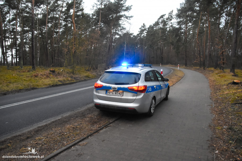Auto wpadło do rowu i dachowało
