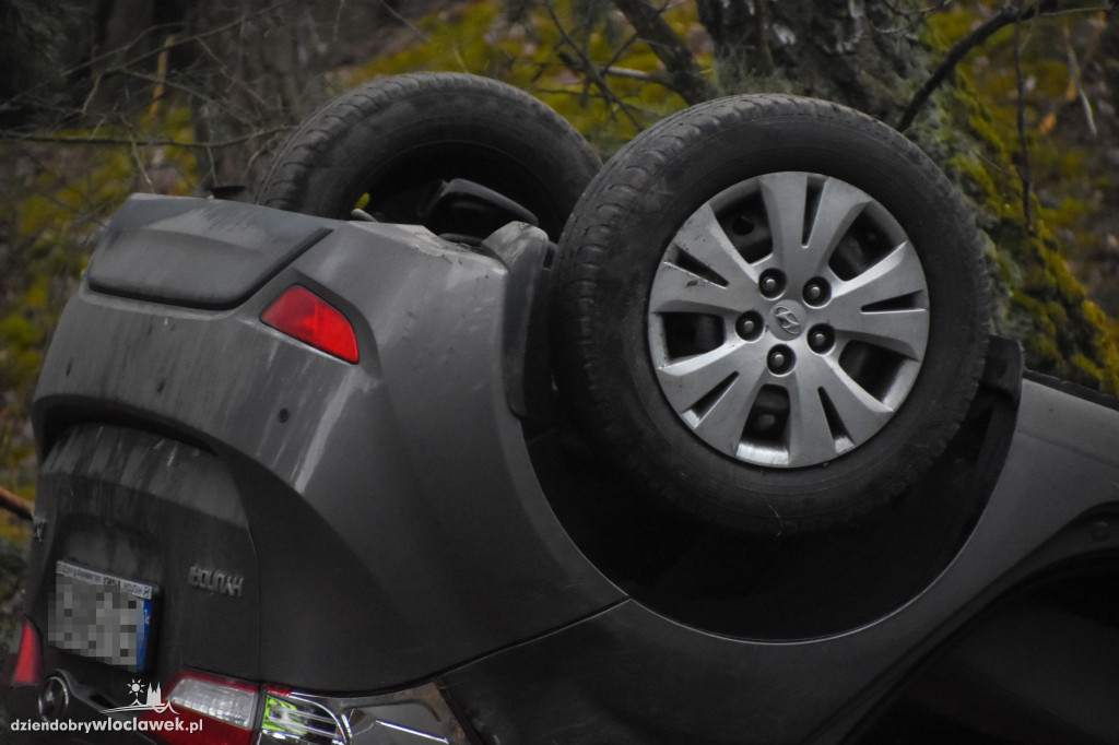 Auto wpadło do rowu i dachowało