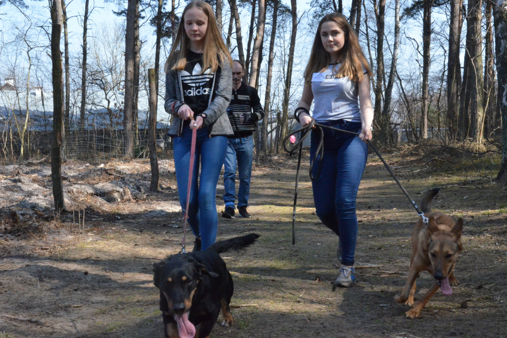 Dzień otwarty w schronisku dla zwierząt