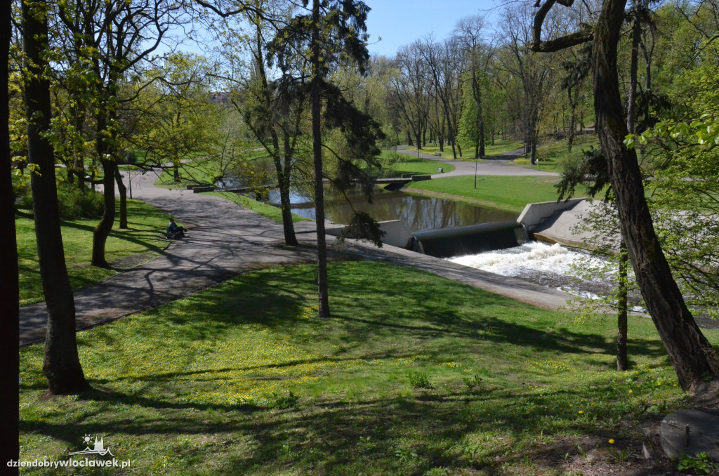 Dywany ranników w parku