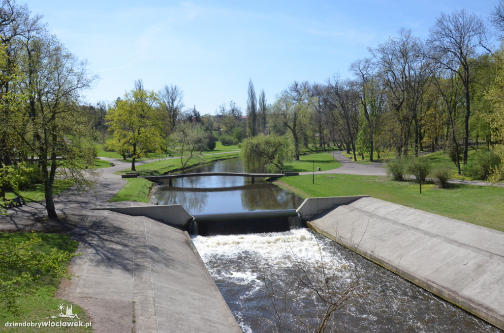 Dywany ranników w parku
