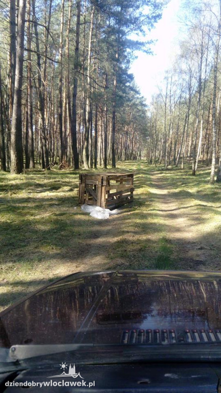 Zostawili psa w lesie i zamknęli go w klatce