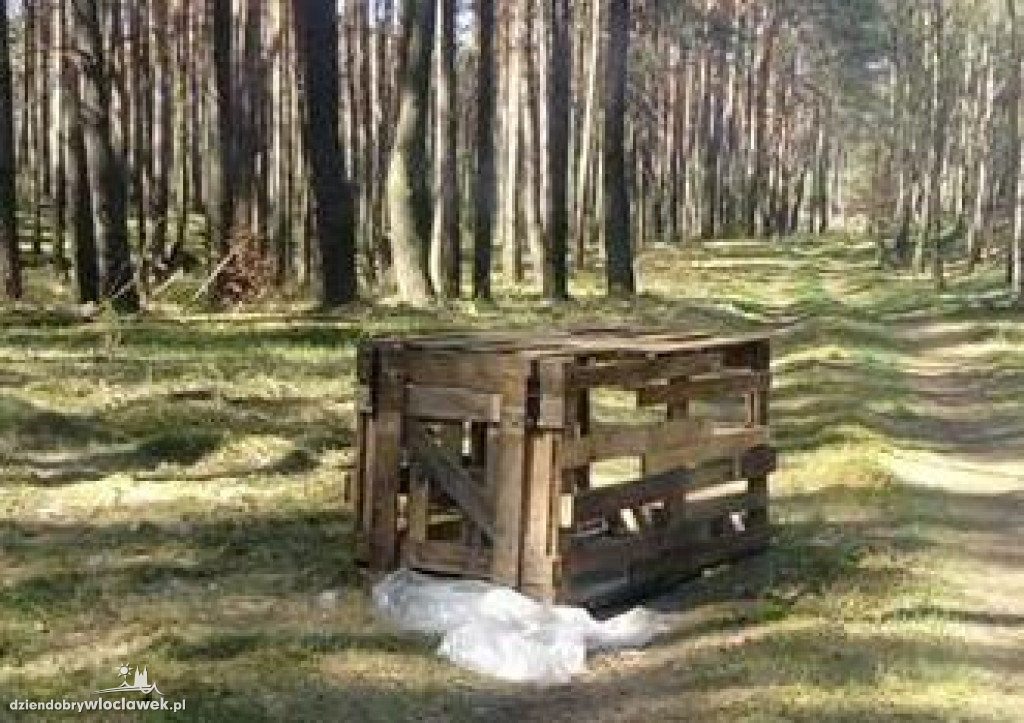 Zostawili psa w lesie i zamknęli go w klatce