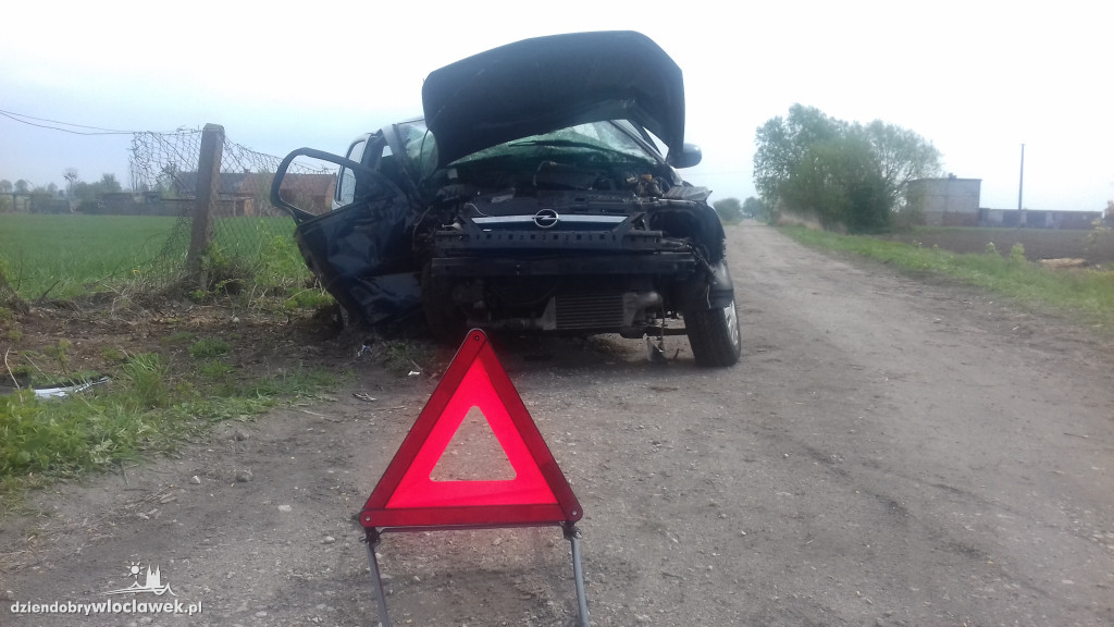 Uderzył czołowo w drzewo. Kierowca żyje