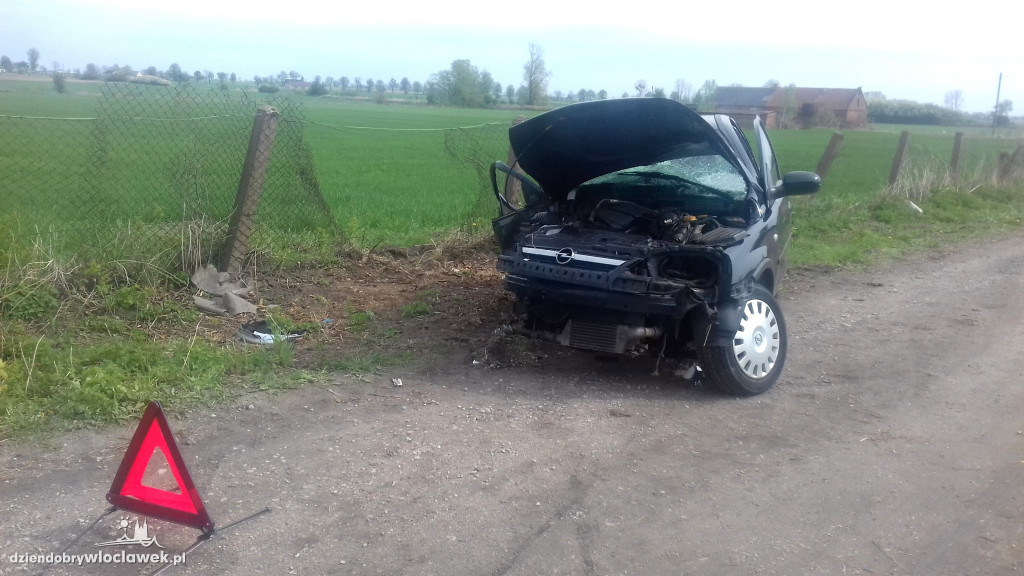 Uderzył czołowo w drzewo. Kierowca żyje