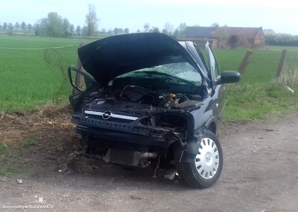 Uderzył czołowo w drzewo. Kierowca żyje