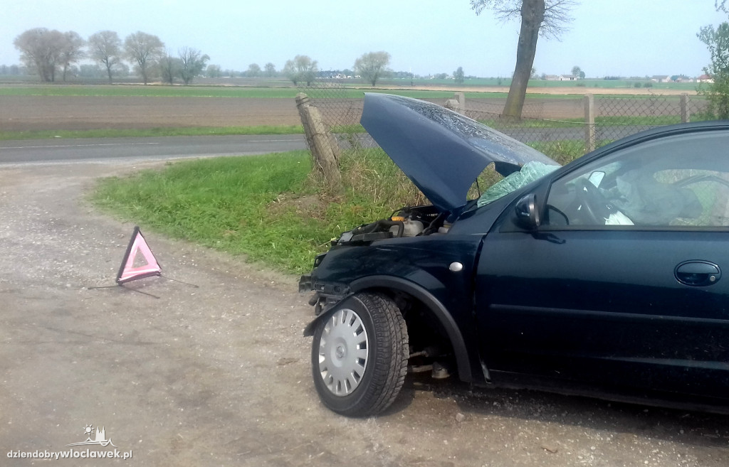 Uderzył czołowo w drzewo. Kierowca żyje