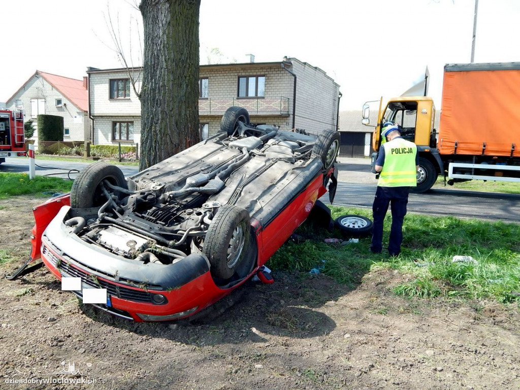 Uderzył w drzewo, a za chwilę dachował