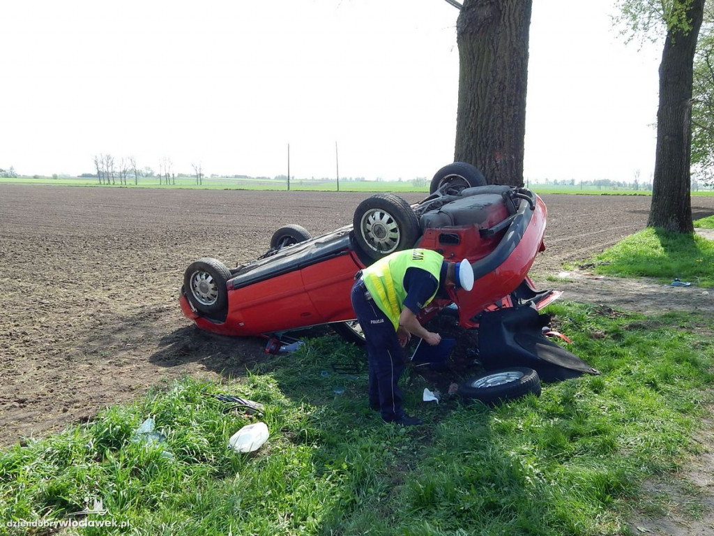 Uderzył w drzewo, a za chwilę dachował
