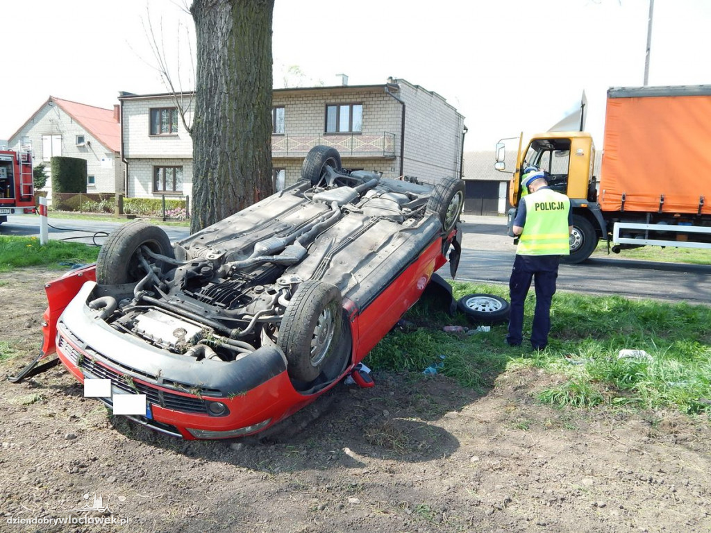 Uderzył w drzewo, a za chwilę dachował
