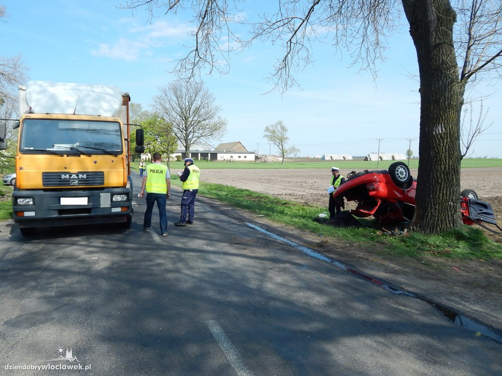 Uderzył w drzewo, a za chwilę dachował