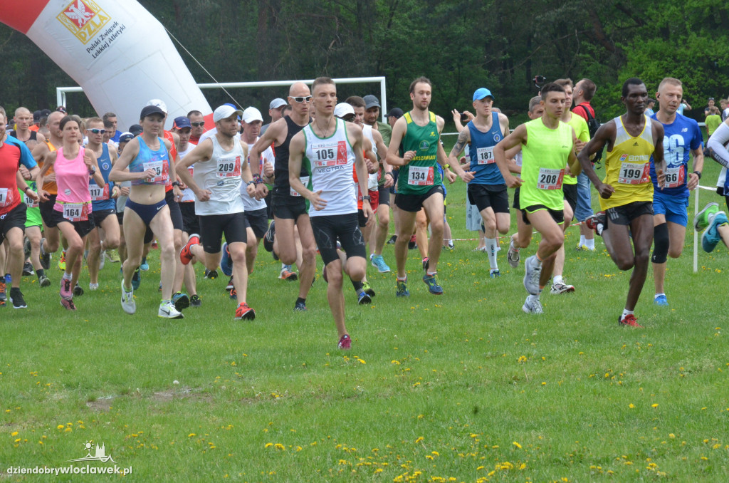 36. Bieg Kujawiaka - bieg główny